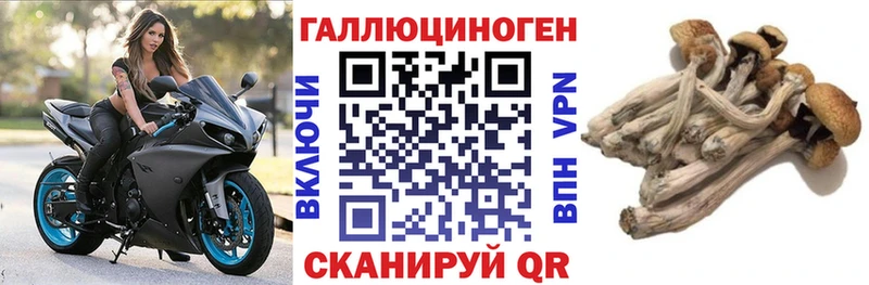 OMG рабочий сайт  Партизанск  Псилоцибиновые грибы GOLDEN TEACHER 
